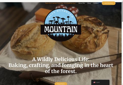 bluemushroommountain.com capture - 2025-07-25 23:29:01