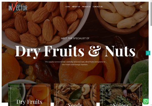 invectoruae.com capture - 2025-07-26 02:30:17