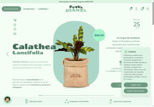 pequeplanta.com capture - 2025-07-26 06:04:44