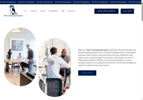 wiseconsultent.com capture - 2025-07-26 07:37:49