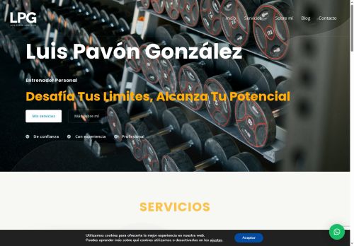 luispavongonzalez.com capture - 2025-07-26 16:19:41