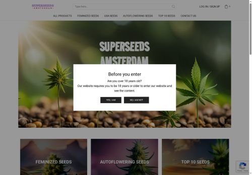 superseedsamsterdam.com capture - 2025-07-26 21:27:27