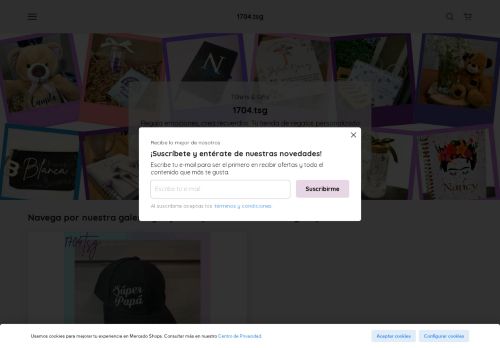 1704tsg.com capture - 2025-07-26 21:41:11