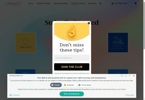 strivetosucceedtutoring.com capture - 2025-07-26 22:40:47