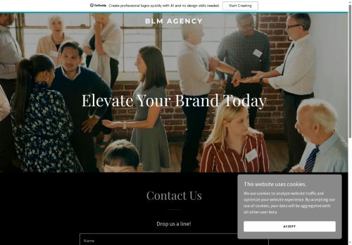 blm-agency.com capture - 2025-07-26 23:00:13