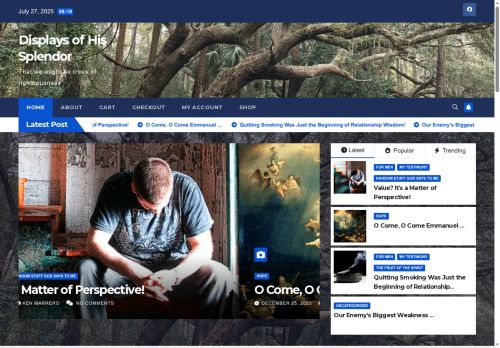 displaysofhissplendor.com capture - 2025-07-27 11:59:12