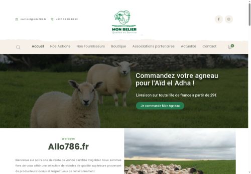 networksabil.com capture - 2025-07-27 20:09:18