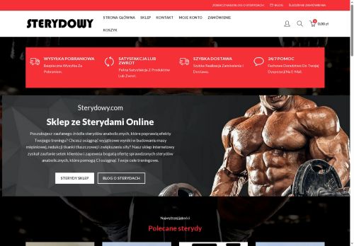 sterydowy.com capture - 2025-07-27 22:21:17
