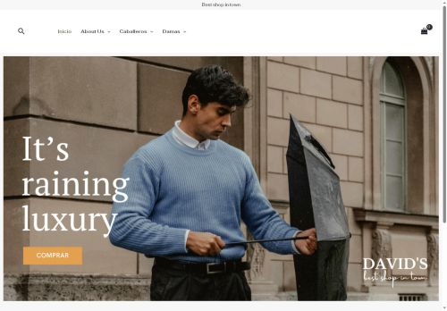 davidswebgt.com capture - 2025-07-28 00:52:39