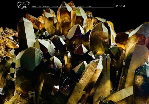 ss-gaia.com capture - 2025-07-28 01:20:27