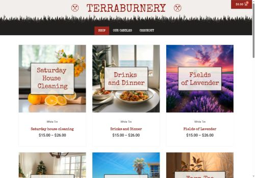 terraburneryshop.com capture - 2025-07-28 01:24:30