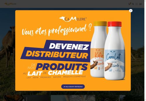 camelerie.com capture - 2025-07-28 05:00:06