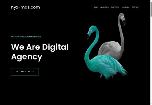 nyx-mds.com capture - 2025-07-28 07:15:31