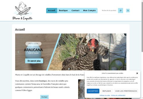 plumeetcoquille.com capture - 2025-07-28 12:30:16