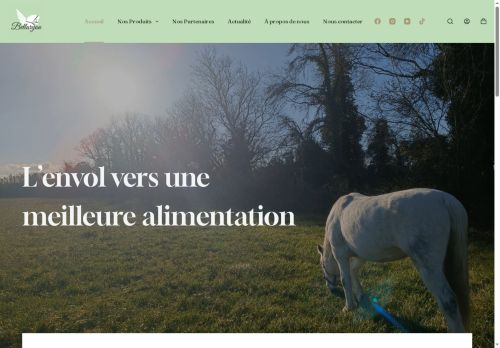 bellaryon.com capture - 2025-07-28 14:52:54