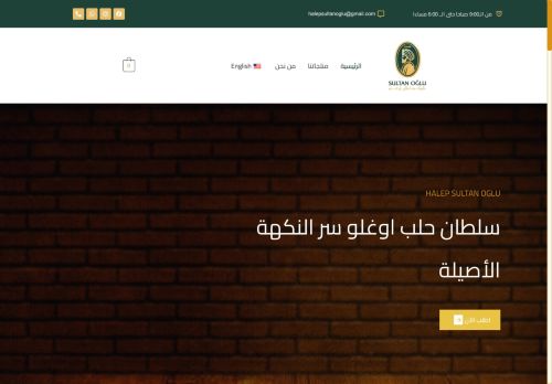 halepsultanoglu.com capture - 2025-07-28 19:19:53