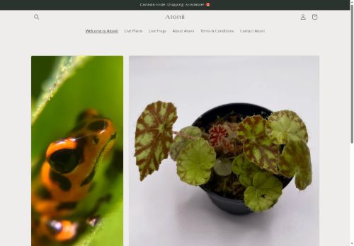 atonii.com capture - 2025-07-28 20:02:17