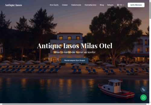 antiqueiasos.com capture - 2025-07-28 21:07:24