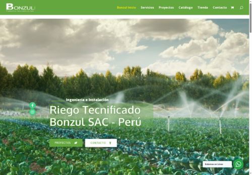 bonzulsac.com capture - 2025-07-29 10:59:38