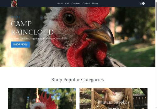 campraincloud.com capture - 2025-07-29 20:04:02