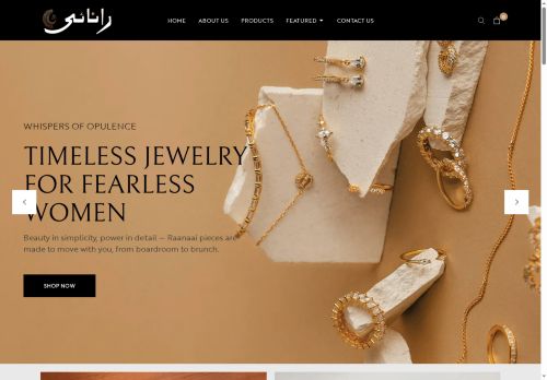 raanaai.com capture - 2025-07-30 03:22:43