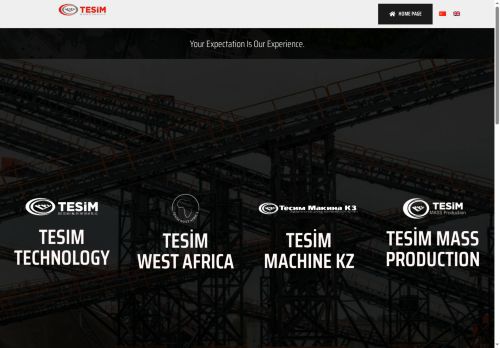 tesimgroup.com capture - 2025-07-30 08:15:04