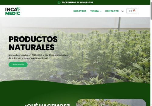 incamedic.com capture - 2025-07-30 15:00:58