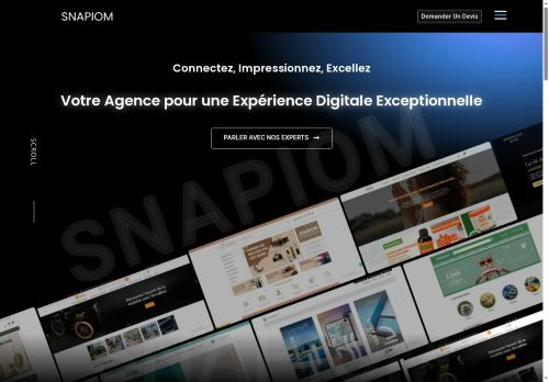 snapiom.com capture - 2025-07-30 15:58:40