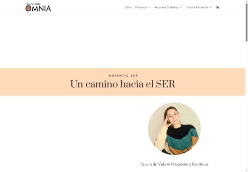 transformaomnia.com capture - 2025-07-30 19:13:43