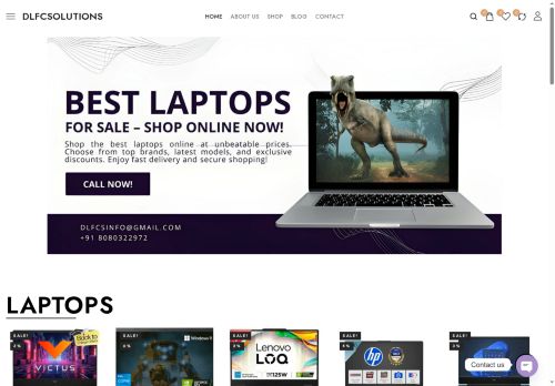 dlfcsolutions.com capture - 2025-07-30 19:54:46