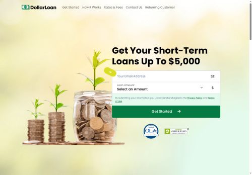247 Dollar Loan capture - 2025-07-31 00:12:45