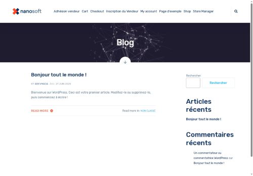 nyasanay.com capture - 2025-07-31 02:52:30