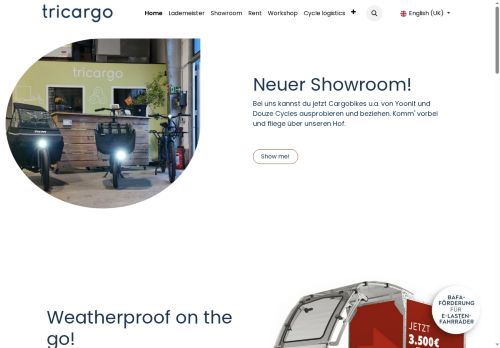 lademeister.bike capture - 2025-07-31 03:25:05