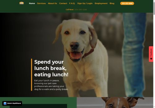 203 Pet Service capture - 2025-07-31 05:48:56