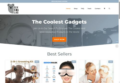 Six Koalas capture - 2025-07-31 08:45:57