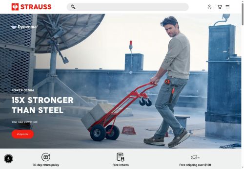 STRAUSS capture - 2025-07-31 08:47:59