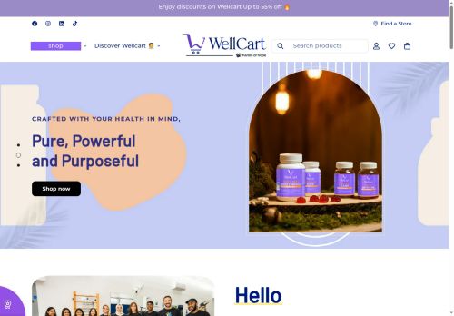 WellCart capture - 2025-07-31 08:59:47