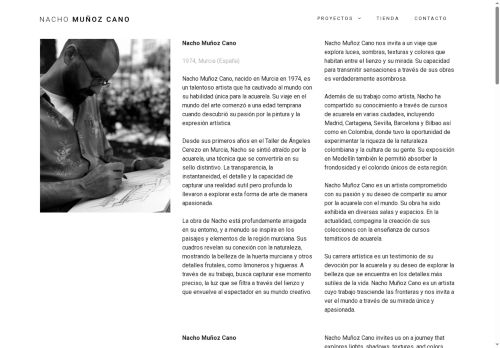 xn--nachomuozcano-okb.com capture - 2025-07-31 11:44:05