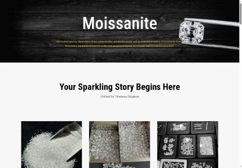 gogemx.com capture - 2025-07-31 13:49:21