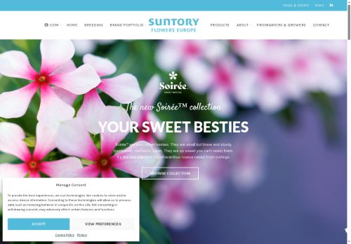 mnpflowerssolutions.com capture - 2025-07-31 14:10:06