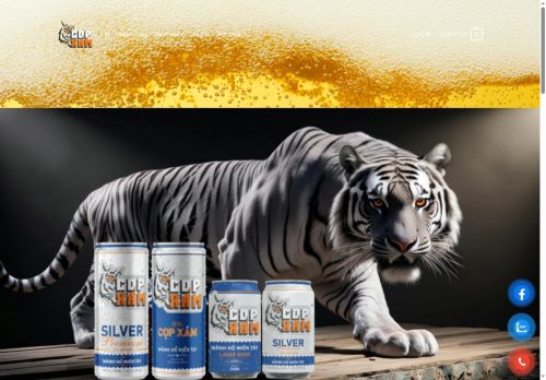 copxam.com capture - 2025-07-31 18:35:00