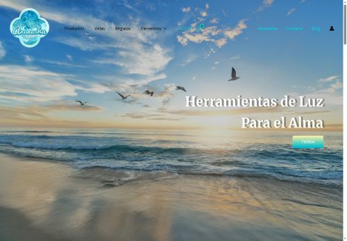 ananashastore.com capture - 2025-07-31 21:19:16