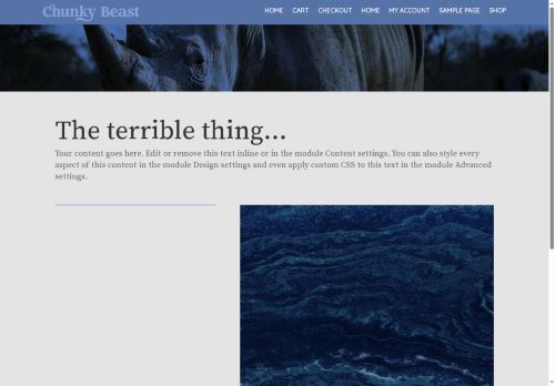 chunkybeast.com capture - 2025-08-01 02:40:31