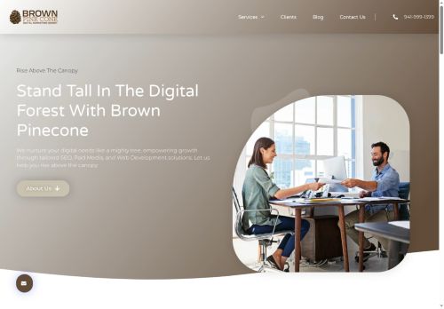 brownpinecone.com capture - 2025-08-01 10:33:25