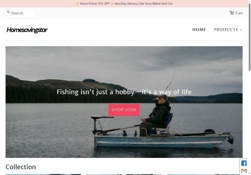 homesavingstar.shop capture - 2025-08-01 13:36:41