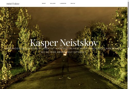 neistskov.com capture - 2025-08-01 13:48:18