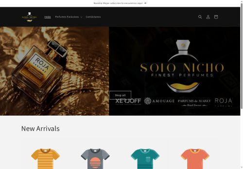 solonicho.com capture - 2025-08-01 17:08:07