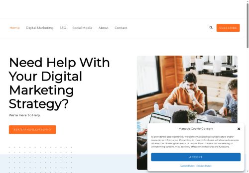 brandelevatepro.com capture - 2025-08-01 21:18:10