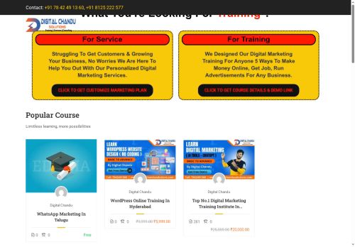 digitalchandusolutions.com capture - 2025-08-01 21:21:31