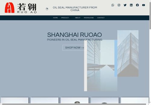 ruoaooilseal.com capture - 2025-08-02 00:46:09